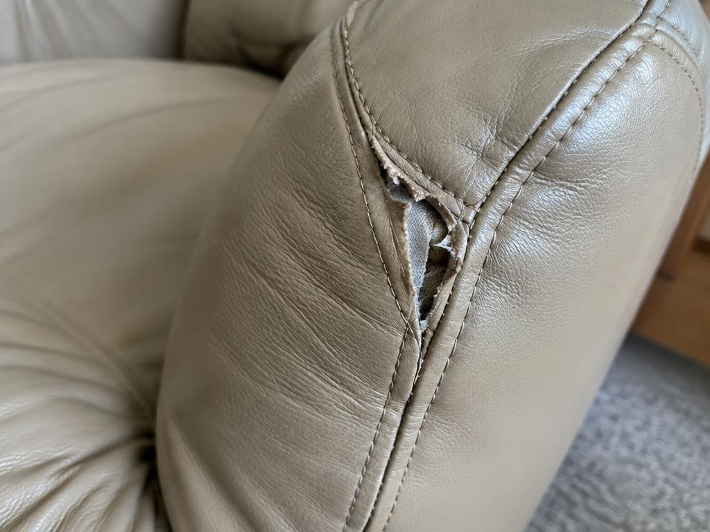 Fig. 3 — Reference: upholstery case